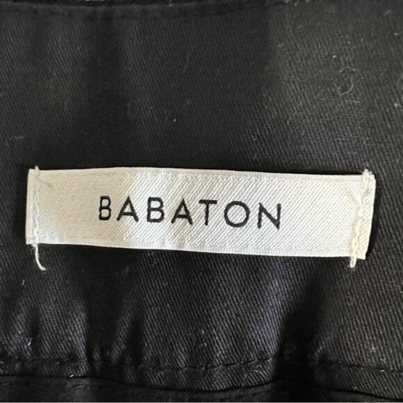 Babaton wool asymmetrical front carrot leg dress pants Sz 6 excellent condition - Picture 10 of 11